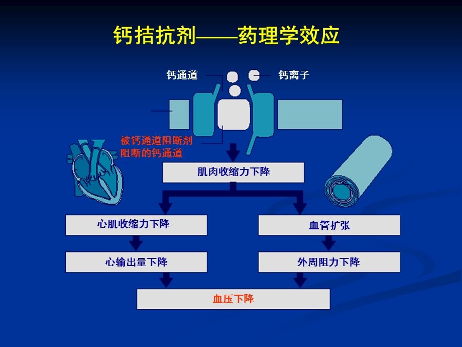 从说明书看3个CCB的区别.ppt_第2页