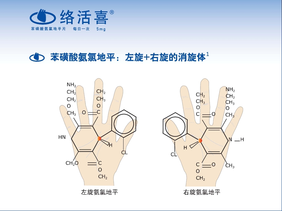 从说明书看3个CCB的区别.ppt_第3页