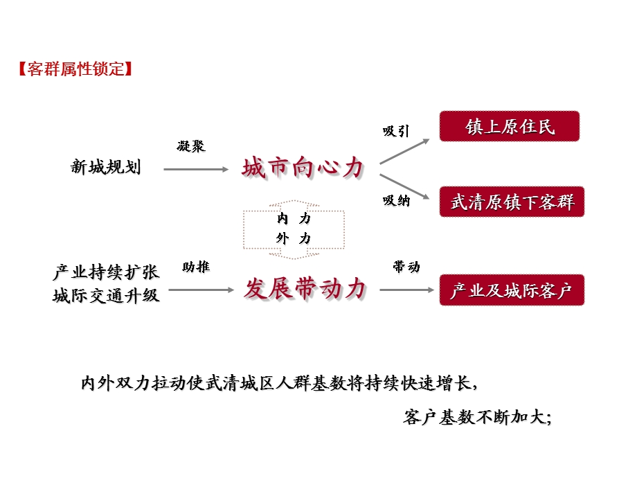 武清项目客户分析.ppt_第1页