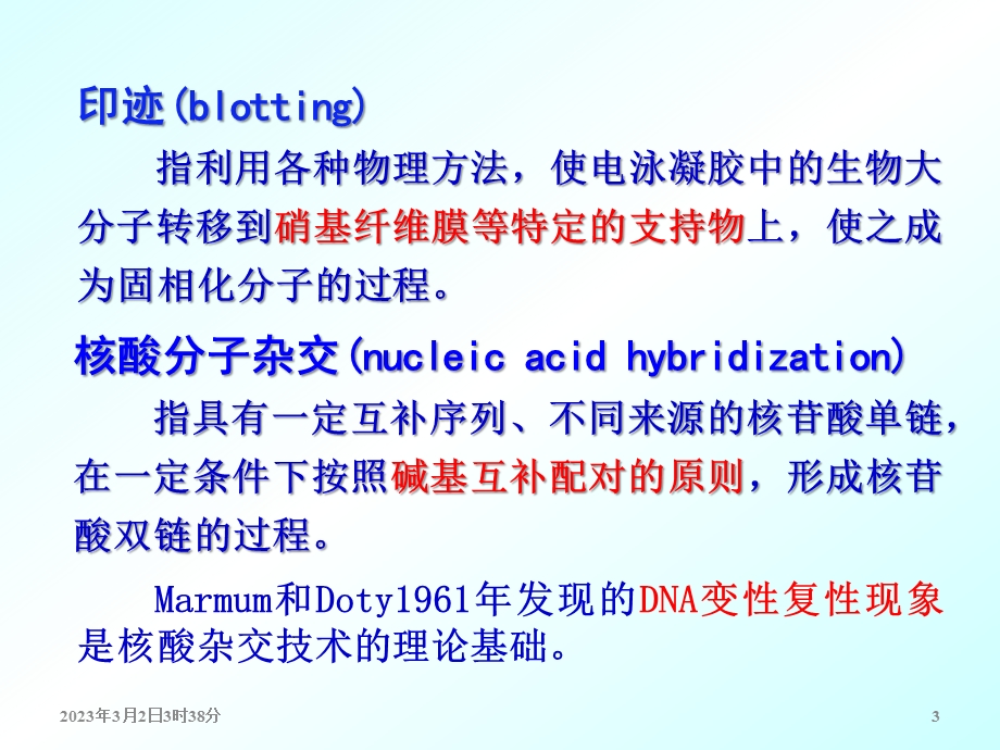 第7章第4节分子杂交和印迹技术(3LMJ)'.ppt_第3页