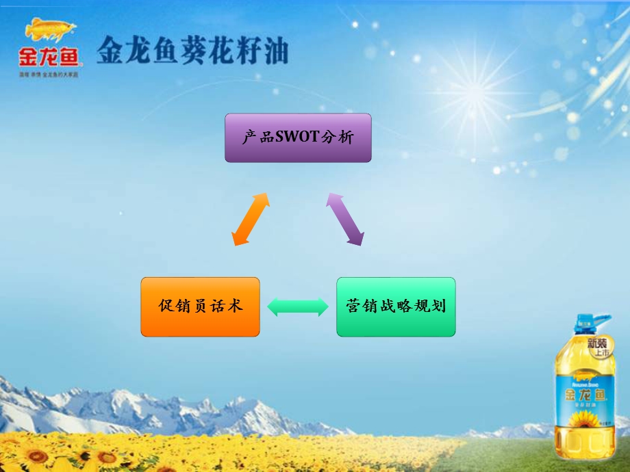 金龙鱼葵花籽油规划.ppt_第2页