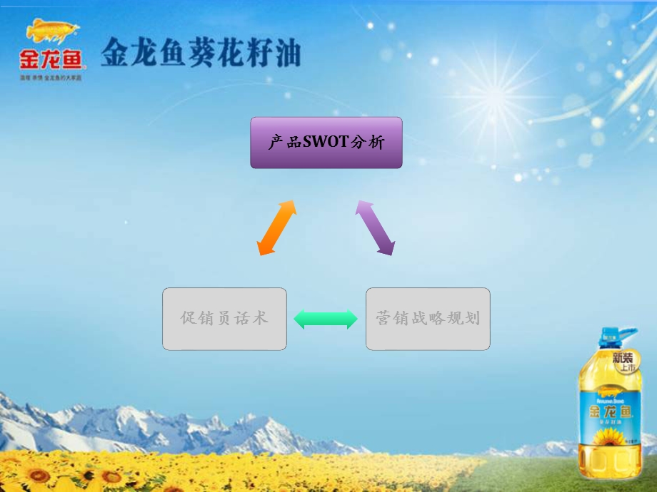 金龙鱼葵花籽油规划.ppt_第3页