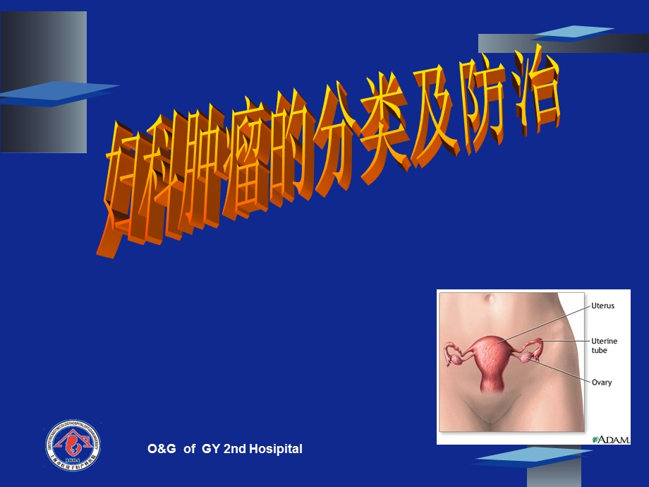 妇科肿瘤.ppt_第1页