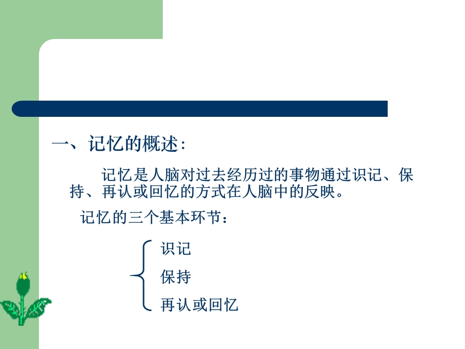 幼儿心理学教学课程：幼儿记忆的培养.ppt_第2页