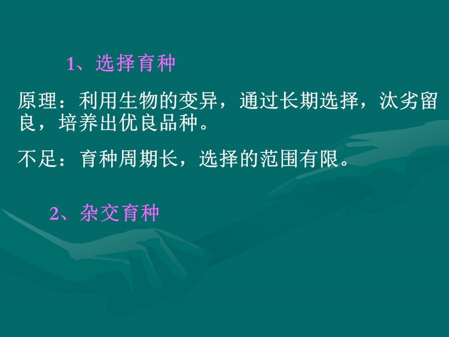 杂交育种和诱变育种ppt.ppt_第3页