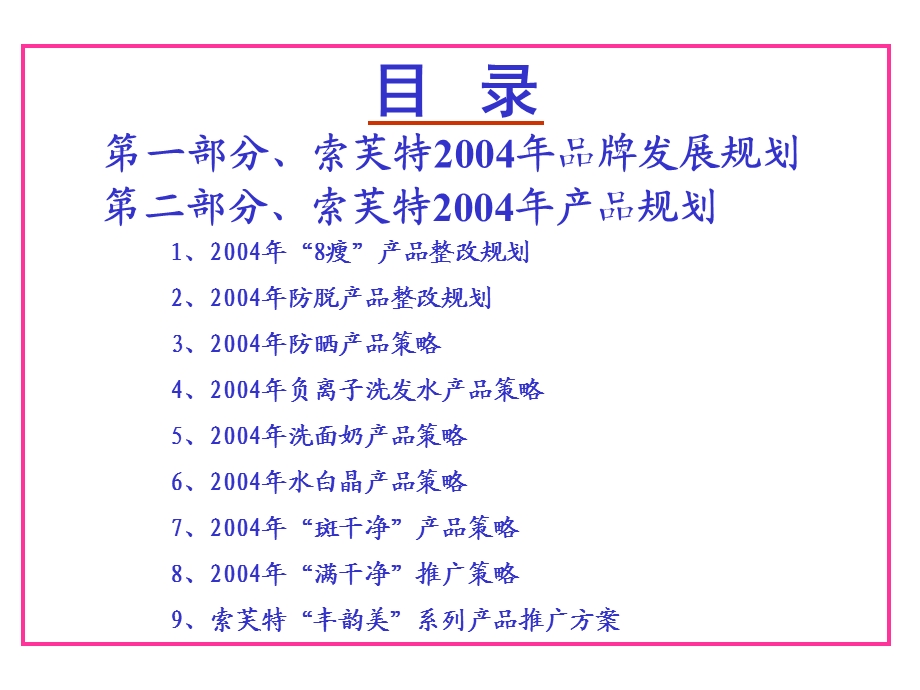 索芙特2004产品规划及品牌规划（定） .ppt_第2页