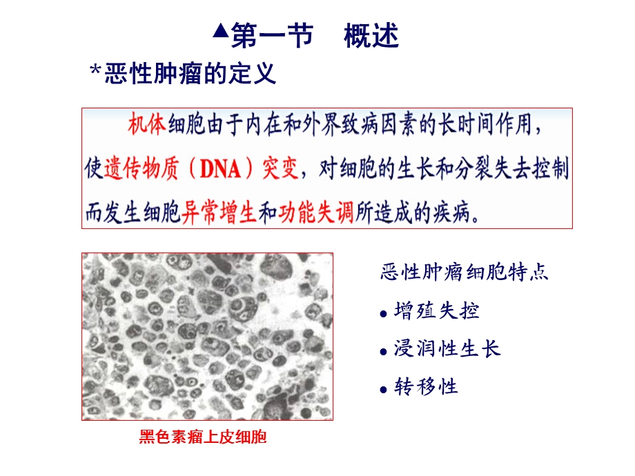 抗肿瘤药物五制的临床应用.ppt_第3页