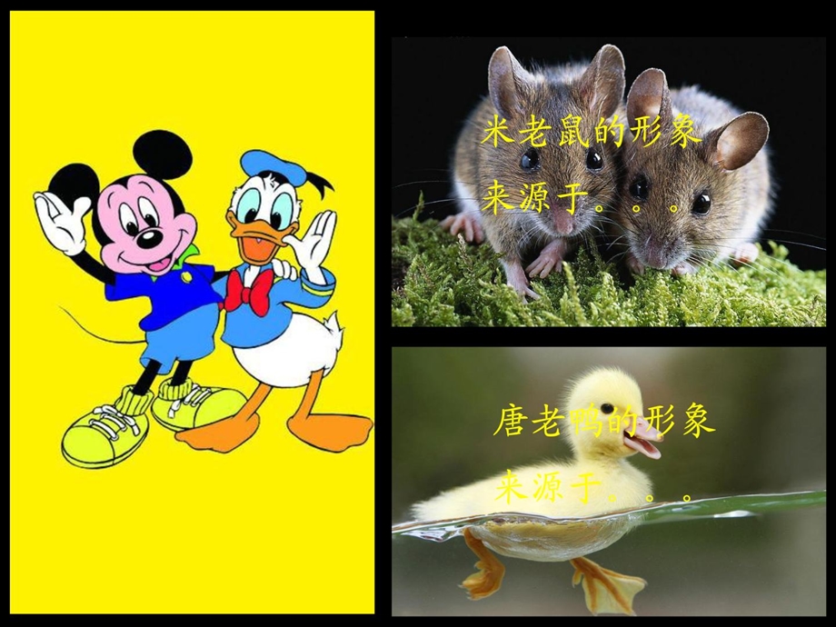 艺术源于生活高于生活[整理版].ppt_第3页