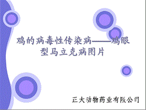 鸡病图文——鸡眼型马立克病图片.ppt