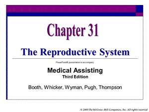 The Reproductive System：生殖系统.ppt