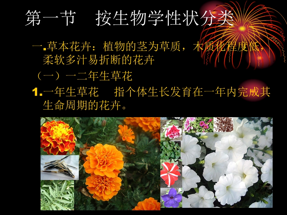 花卉的分类.ppt_第2页