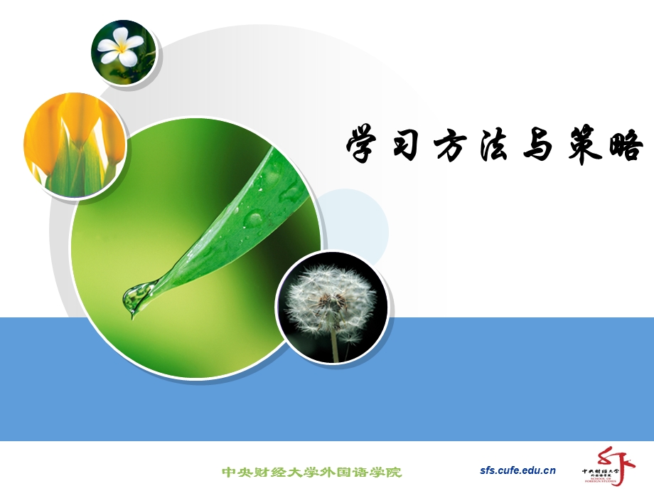 提高英语听说能力的学习方法.ppt_第1页