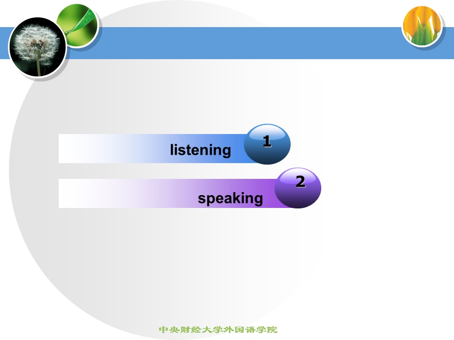 提高英语听说能力的学习方法.ppt_第2页