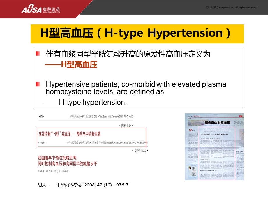 H型高血压的危害.ppt_第2页