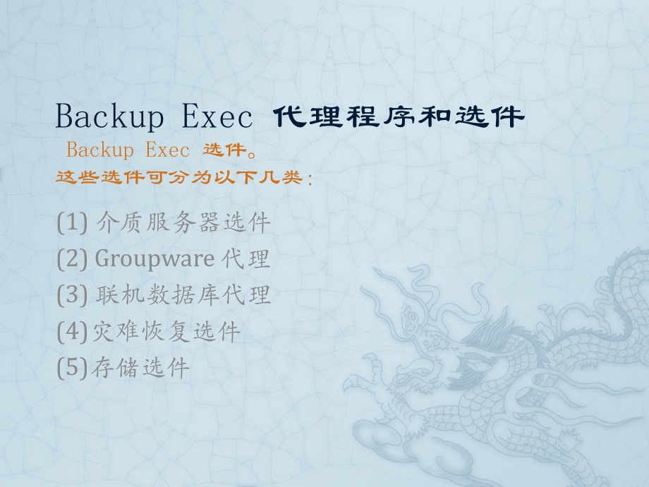 BackupExec11d代理程序和选件参考.ppt_第1页