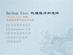 BackupExec11d代理程序和选件参考.ppt