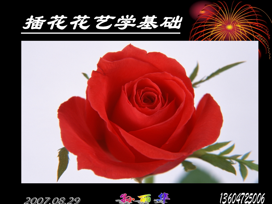 第一章插花艺术概述.ppt_第1页