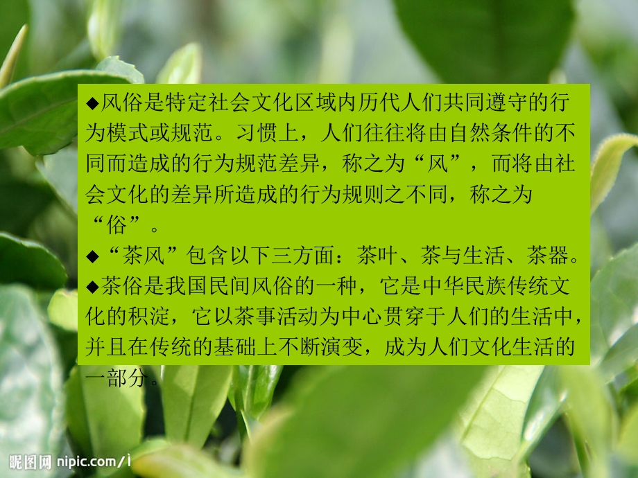 茶风与茶俗.ppt_第3页