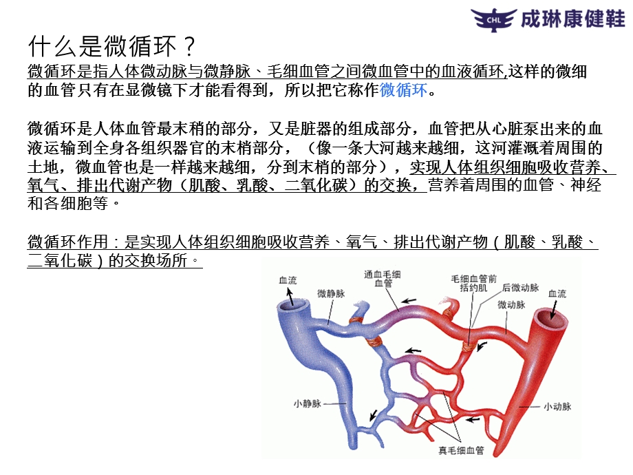 微循环和甲壁微循环检测仪学习.ppt_第3页