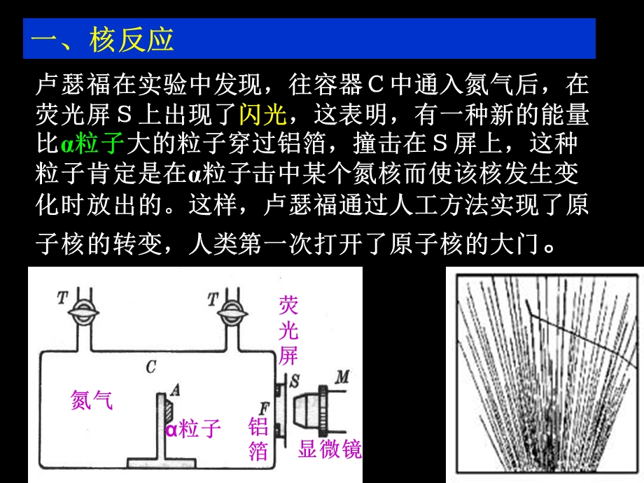 人教版高中物理第三节 放射性的引用与防护.ppt_第2页