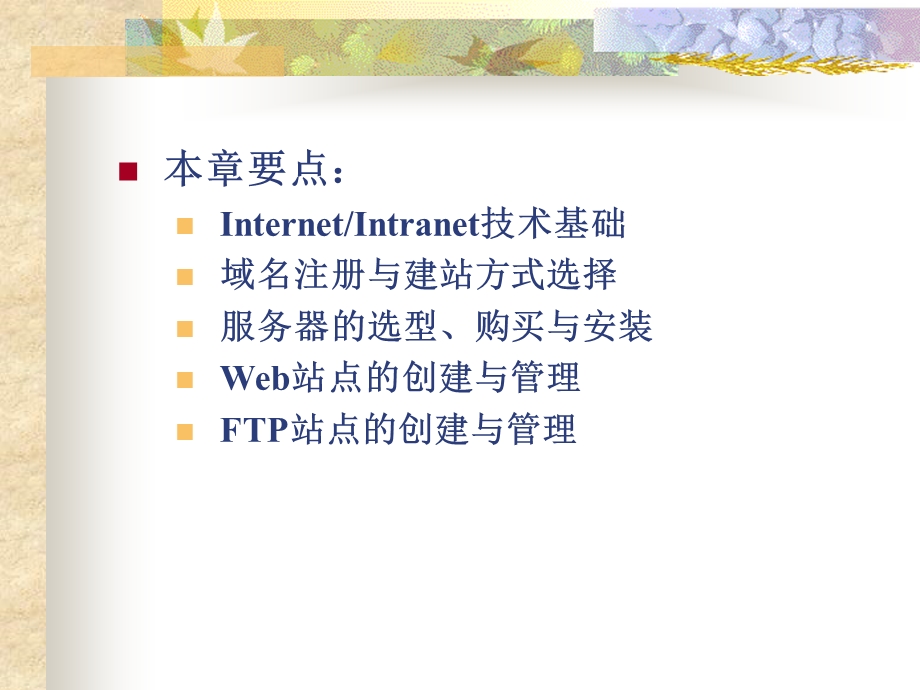 电子商务系统的技术基础教学课件PPT.ppt_第2页