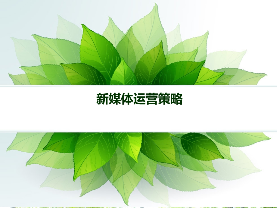 新媒体运营方案.ppt_第1页