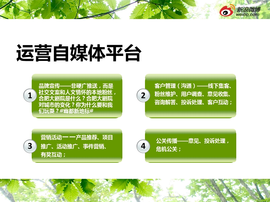 新媒体运营方案.ppt_第3页