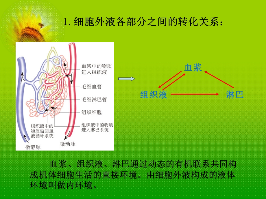 高考生物.ppt_第2页