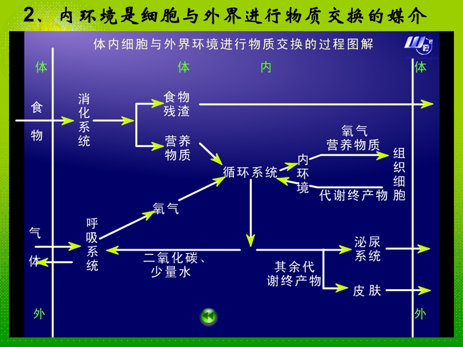 高考生物.ppt_第3页