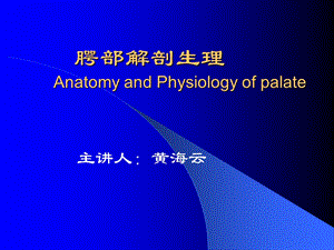 腭部解剖.ppt