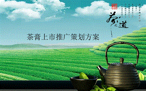 茶膏上市推广营销方案.ppt