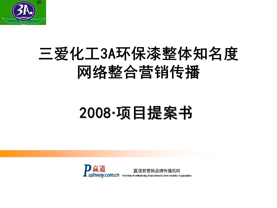 某大型企业网络整合营销传播项目方案书.ppt_第1页