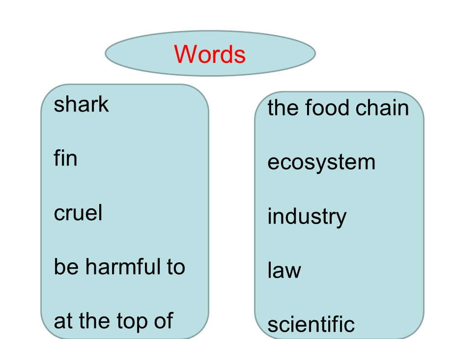 人教版初三英语unit13sectiona2savethesharks!.ppt_第3页