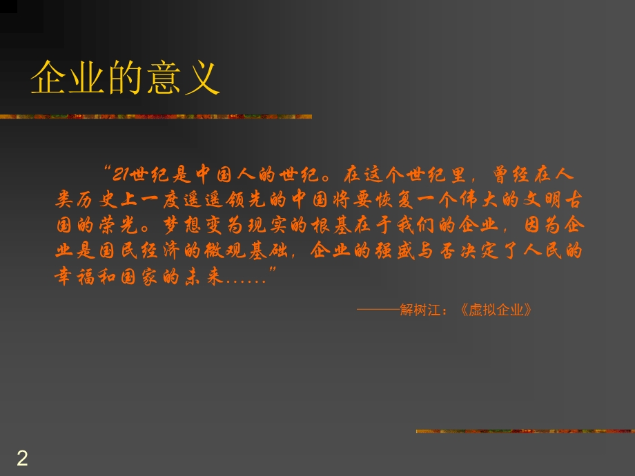 企业成长战略.ppt_第2页