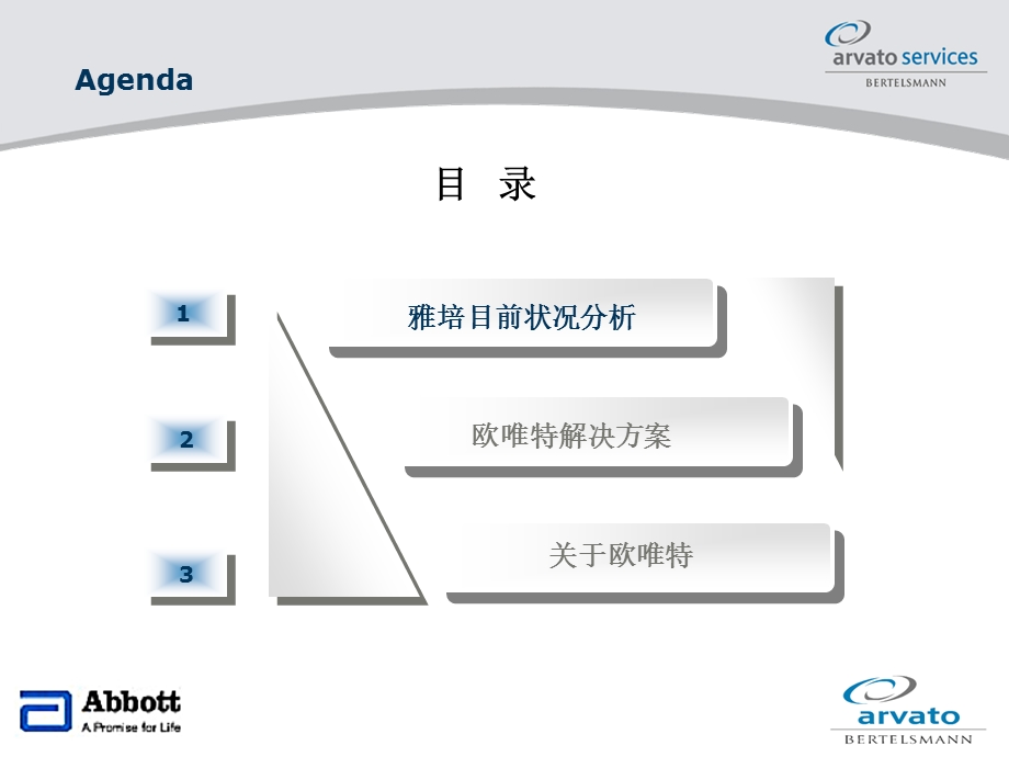 [广告传媒]雅培中国物流方案 完成.ppt_第2页