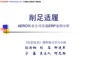 削足适履AERO鞋业公司实施ERP案例分析.ppt