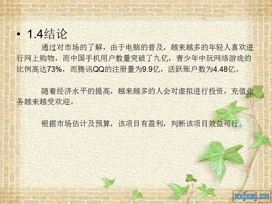 虚拟网店项目可行性报告.ppt_第3页