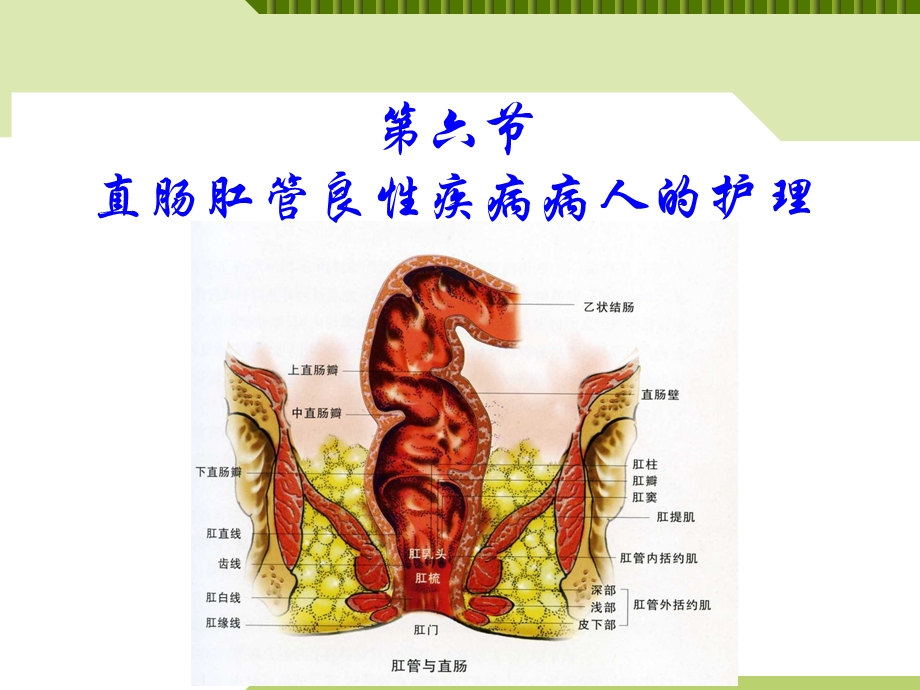 第十五章第六节直肠、肛管疾病.ppt_第2页