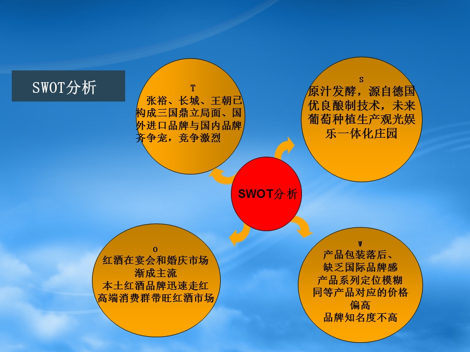 大班红酒市场策划方案.ppt_第3页