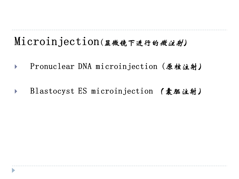 Generation of Transgenic Mice.ppt_第2页