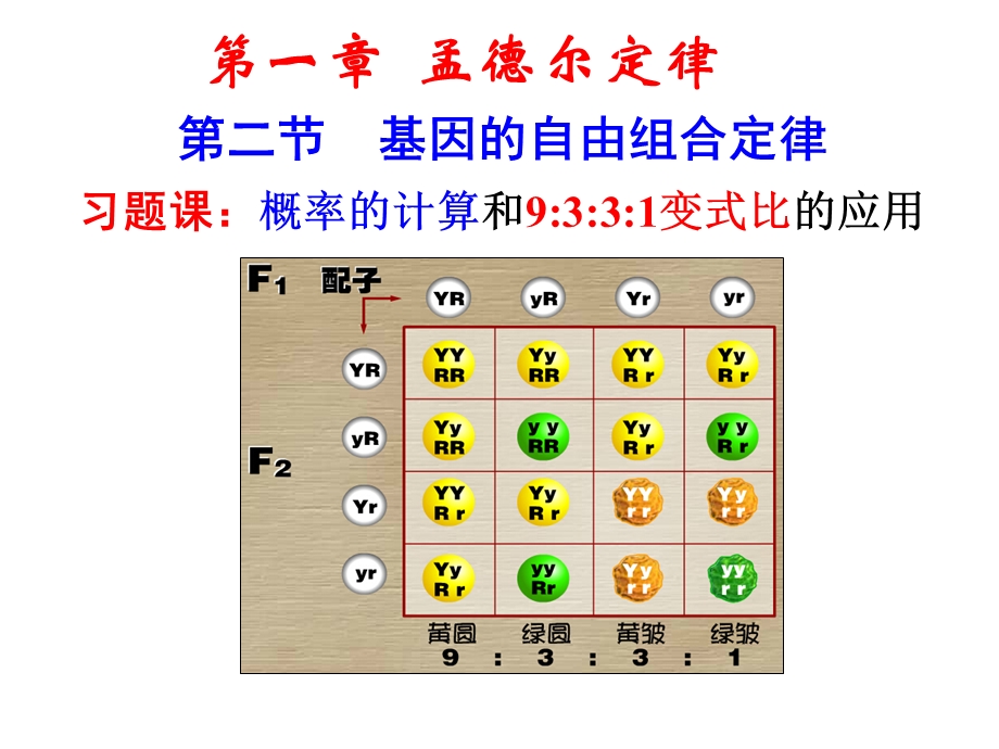 1.2基因的自由组合定律习题课.ppt_第1页