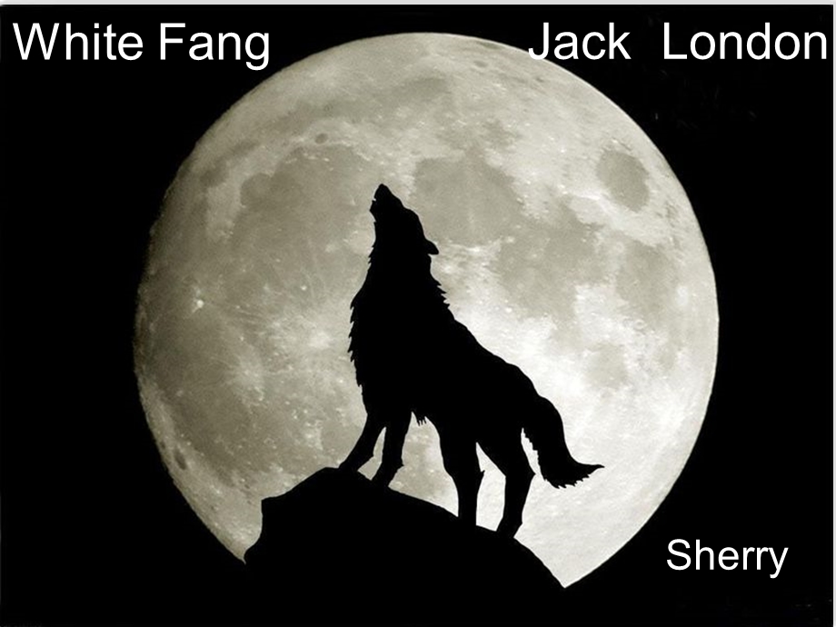 典范英语九white fang.ppt_第1页