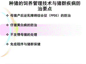 种猪的饲养管理技术与猪群疾病防治要点.ppt