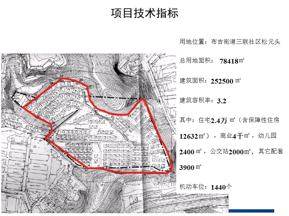 深圳布吉三联松源头项目定位策划报告88p.ppt_第3页