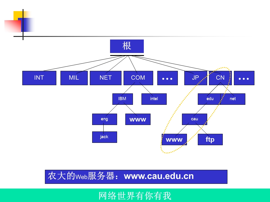 Internet应用.ppt_第3页