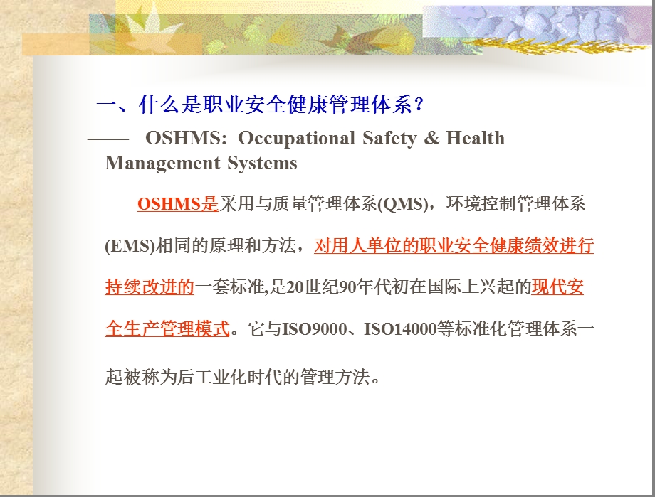 安全生产与职业安全健康管理体系.ppt_第2页