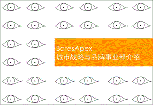 BatesApex城市战略与品牌事业部简介手册.ppt