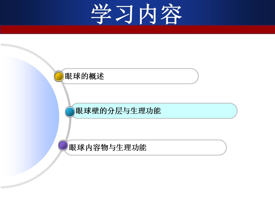 眼球解剖护理水平.ppt1.ppt_第3页