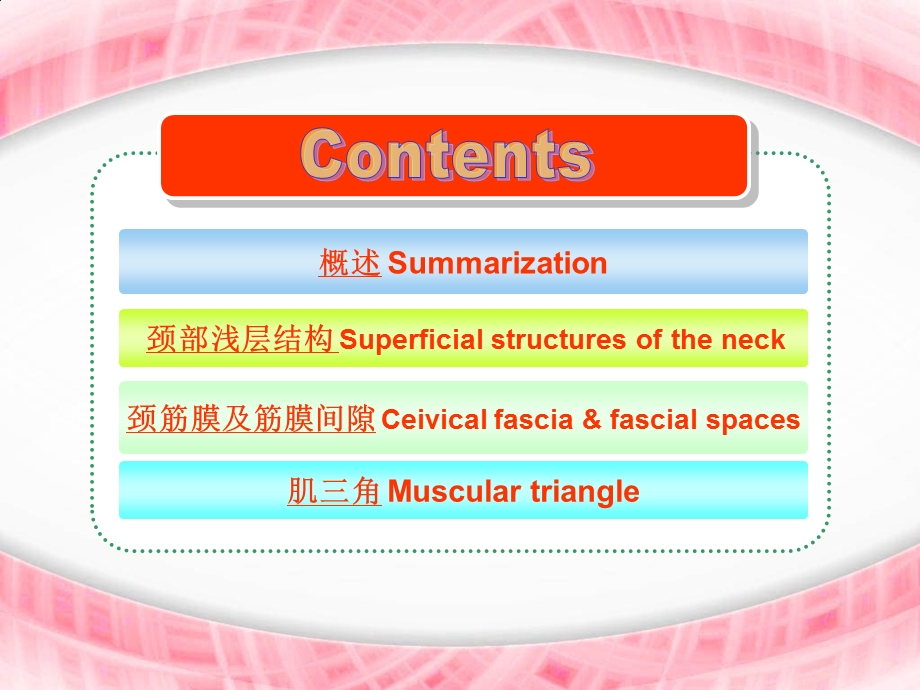 局部解剖颈部(学习资料).ppt_第2页