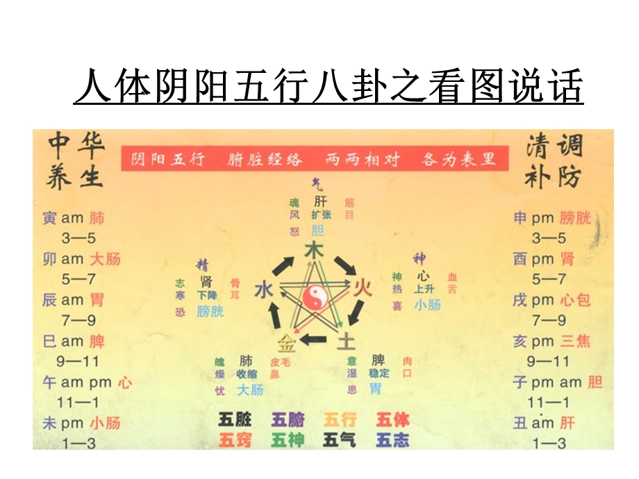 人体阴阳五行八卦之看图说话.ppt_第1页